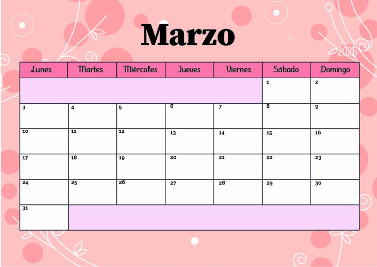 Modelo 5 Marzo 2025