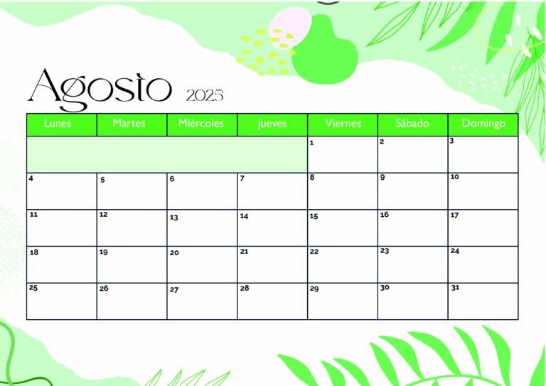 Modelo 1 Agosto 2025