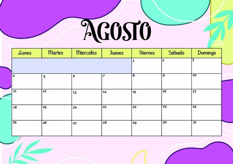 Modelo 4 Agosto 2025