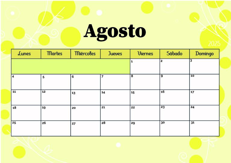 Modelo 5 Agosto 2025