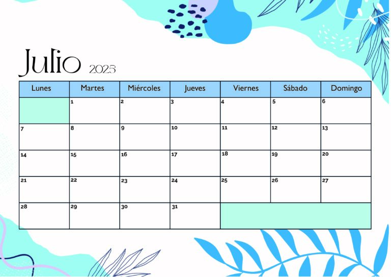 Modelo 1 Julio 2025
