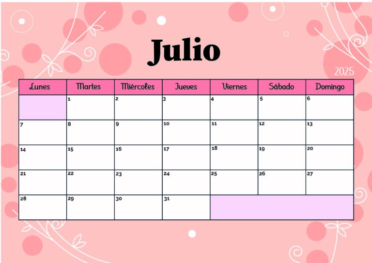 Modelo 5 Julio 2025