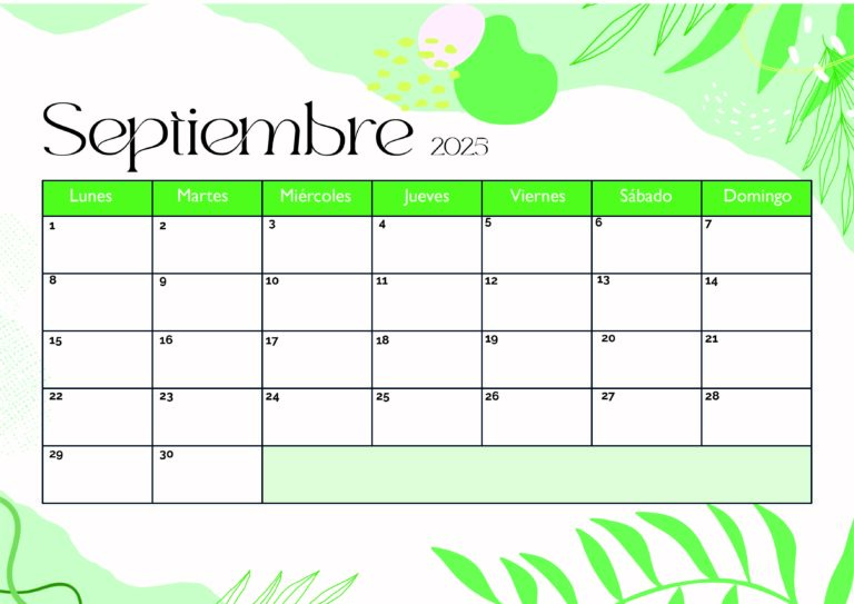 Modelo 1 Septiembre 2025