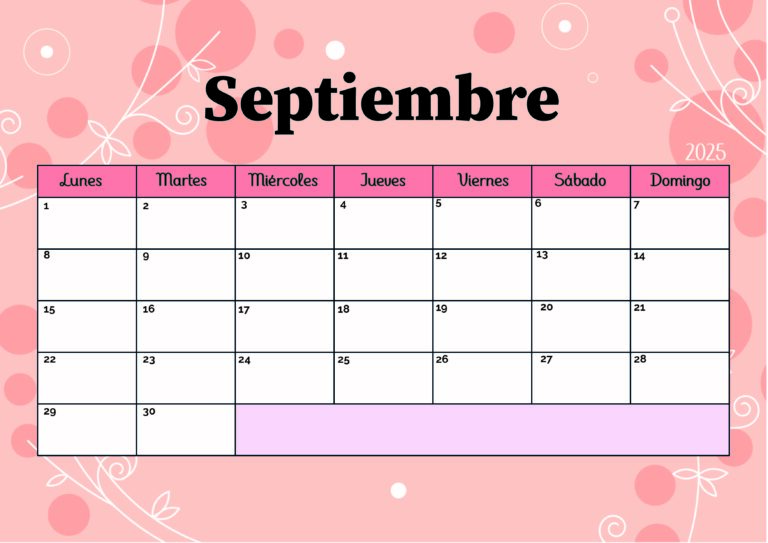 Modelo 5 Septiembre 2025