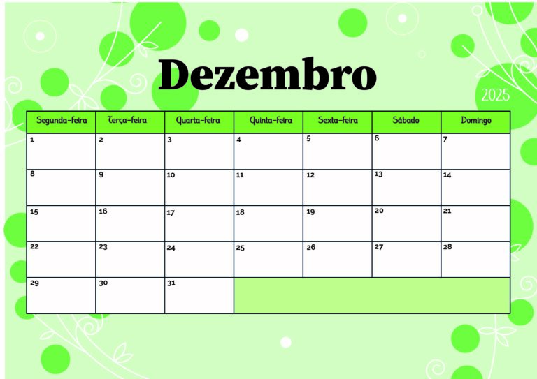 Modelo 5 Dezembro 2025