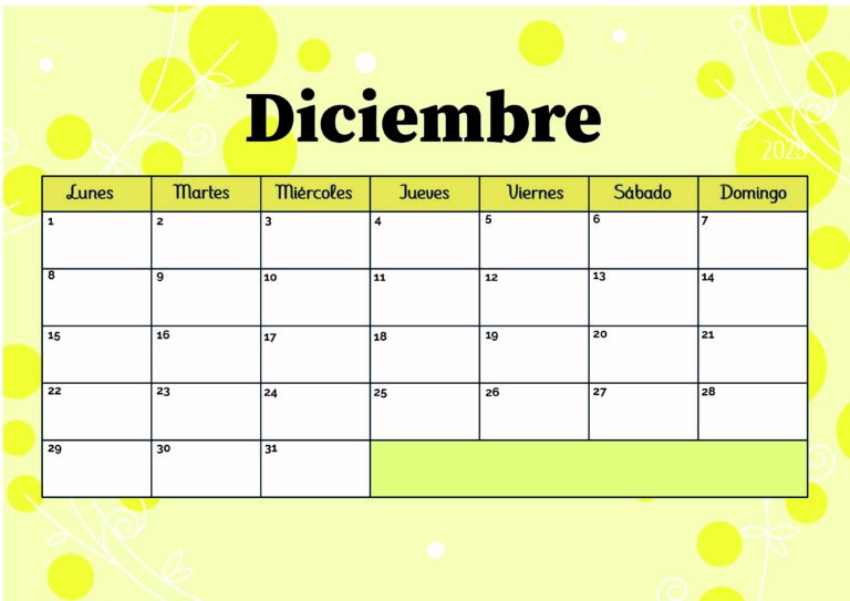 Modelo 5 Diciembre 2025