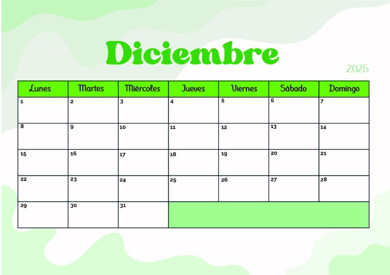 Modelo 6 Diciembre 2025