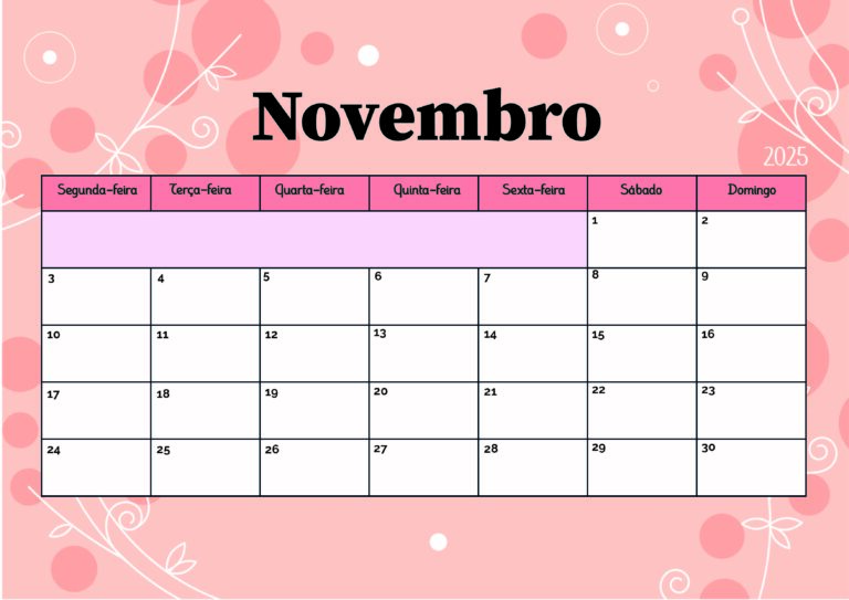 Modelo 5 Novembro 2025