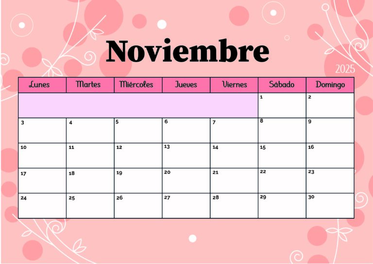 Modelo 5 Noviembre 2025