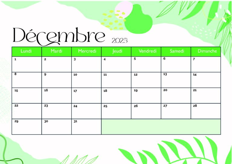 Modèle 1 Décembre 2025