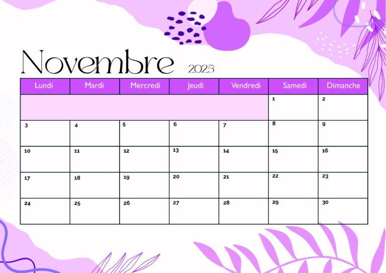 Modèle 1 Novembre 2025