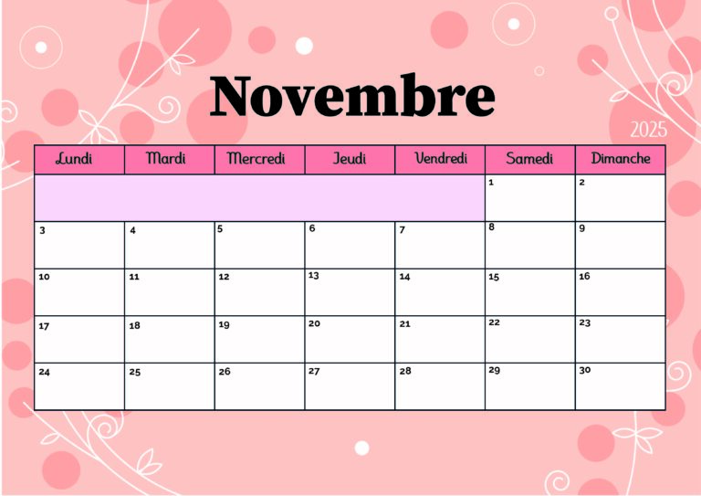 Modèle 5 Novembre 2025