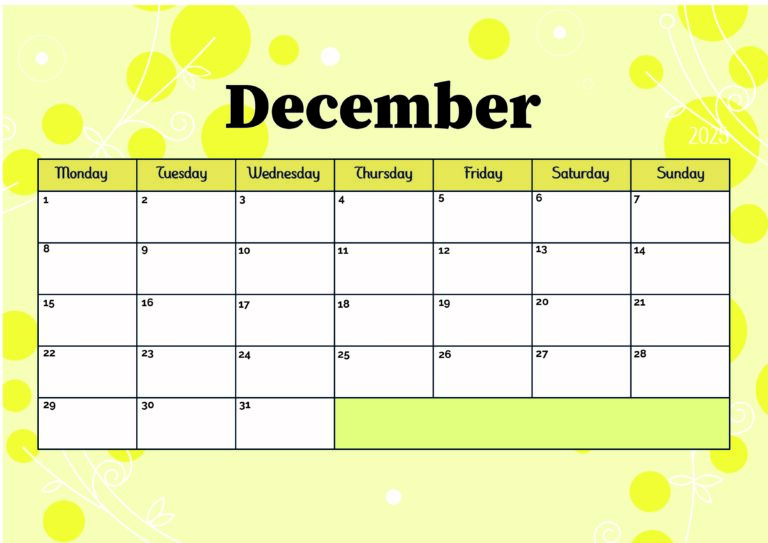 Model 5 December 2025
