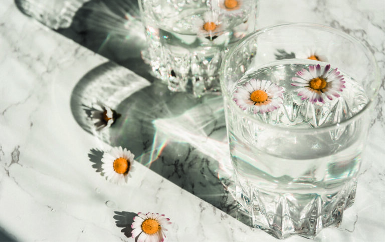 Fonds d&rsquo;écran Aesthetic de fleurs