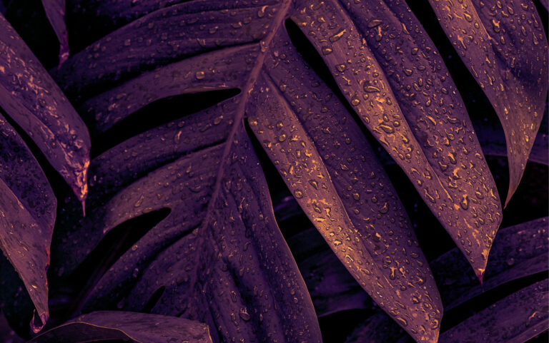 Fonds d&rsquo;écran Aesthetic en violet