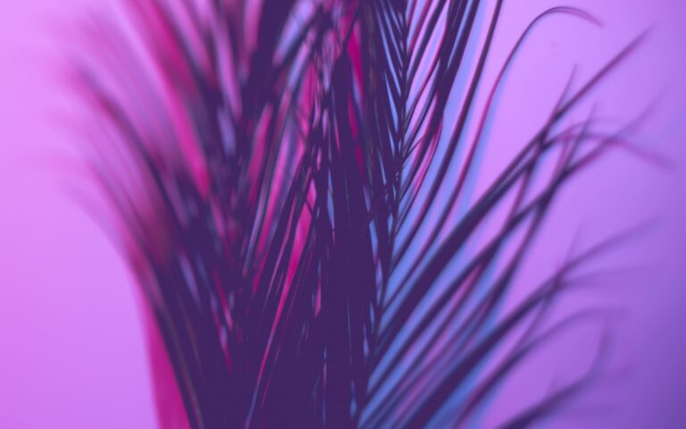 Fonds d&rsquo;écran Aesthetic en violet