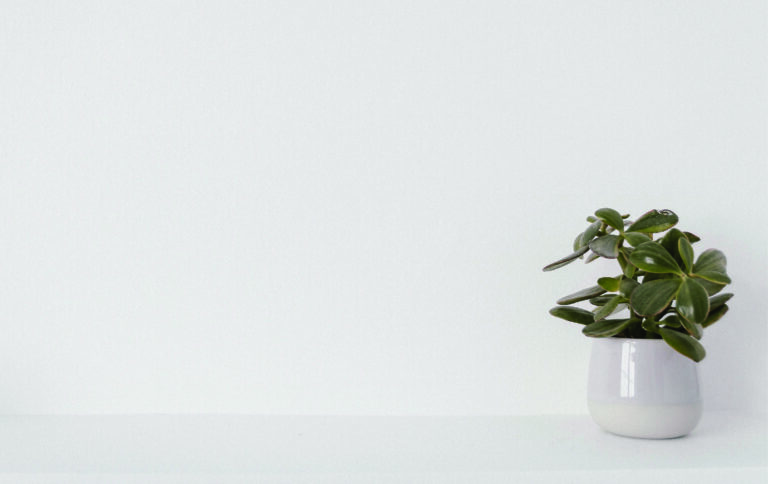 Fond d&rsquo;écran esthétique blanc