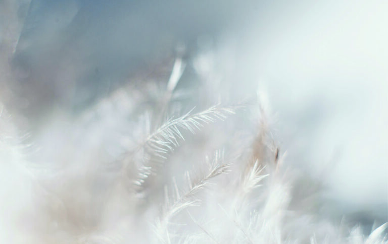 Fond d&rsquo;écran esthétique blanc