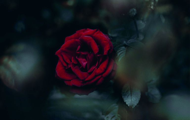 Fonds d&rsquo;écran Aesthetic rouge