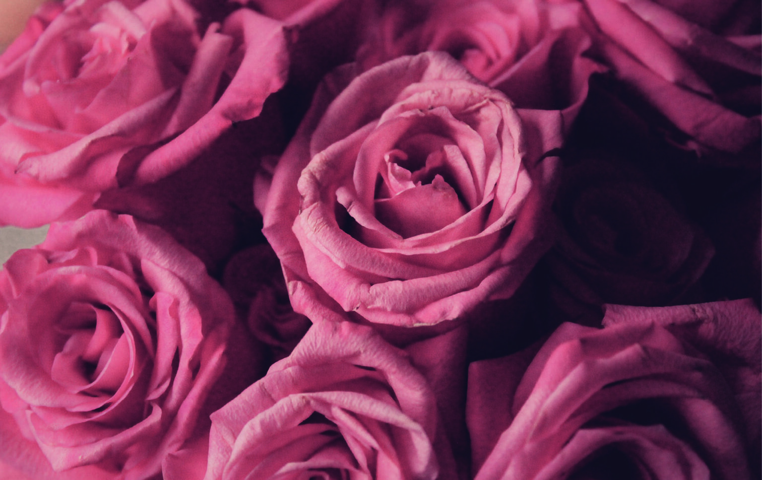 Fondos de pantalla Aesthetic rosa 【2023】 - Globalendar