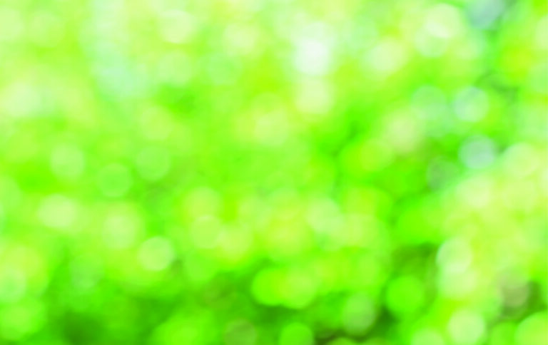 Fonds d&rsquo;écran Aesthetic vert