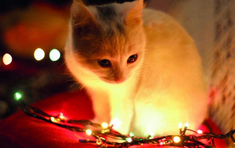 Fonds d&rsquo;écran de Noël Aesthetic