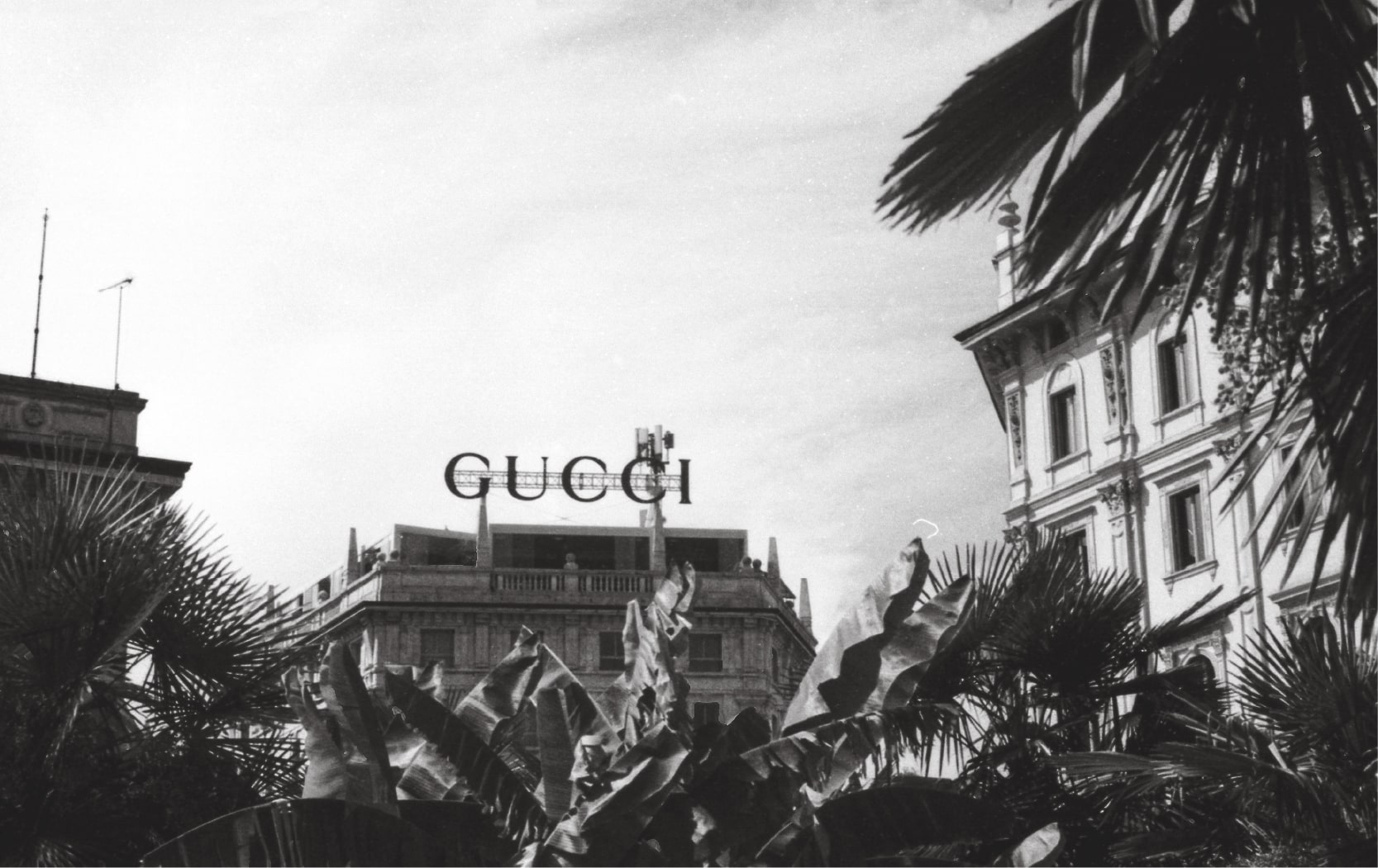 Fonds d'écran Gucci en 4K