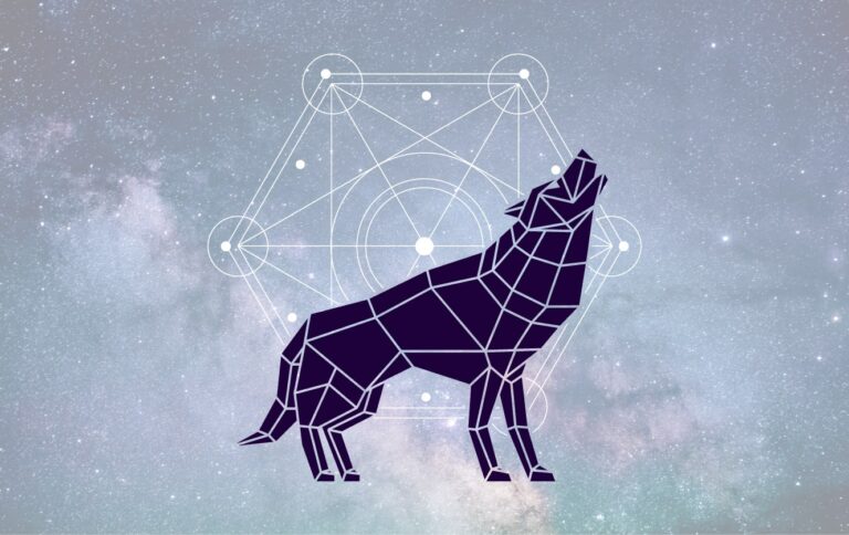 Fonds d&rsquo;écran loups en 4K