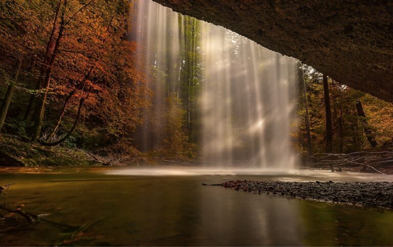 Fonds d&rsquo;écran nature en 4K