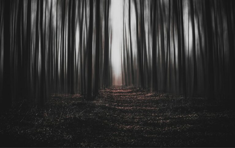 Fonds d&rsquo;écran sombres en 4K