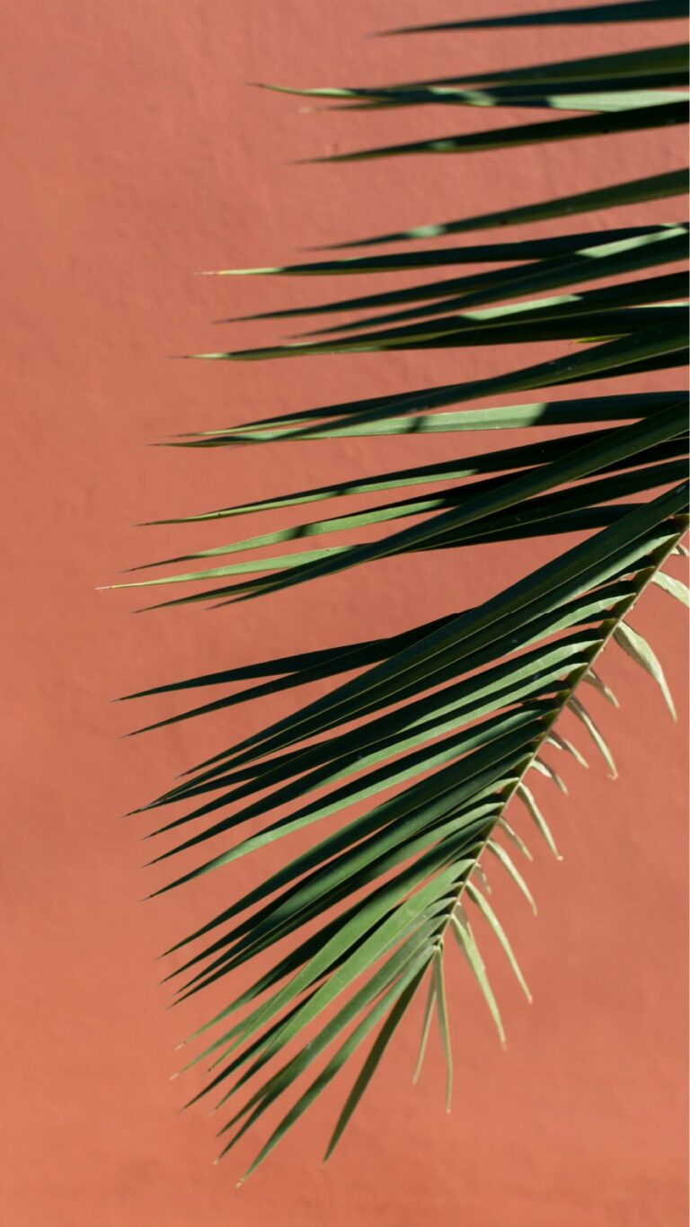Papel de parede iPhone 12
