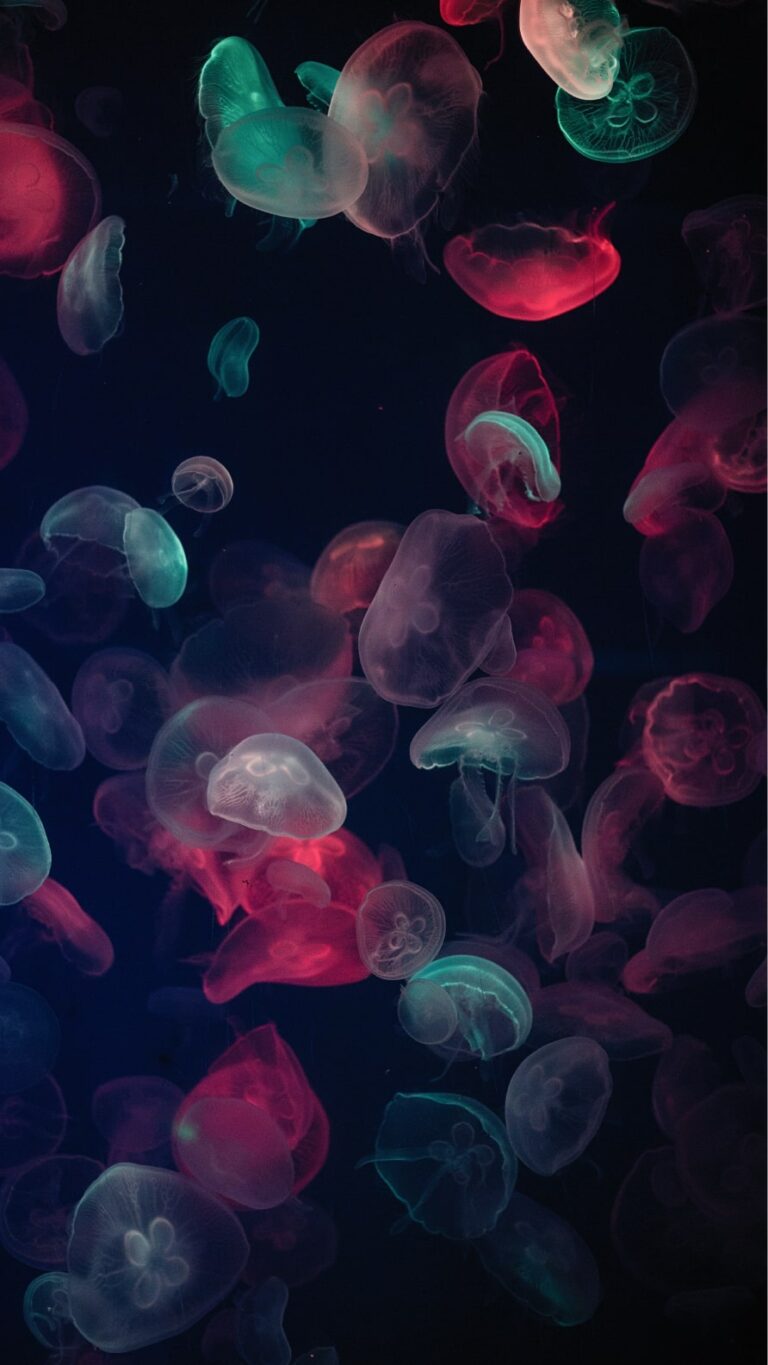 Papel de parede iPhone 12