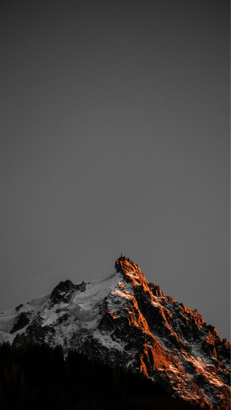 Papel de parede iPhone