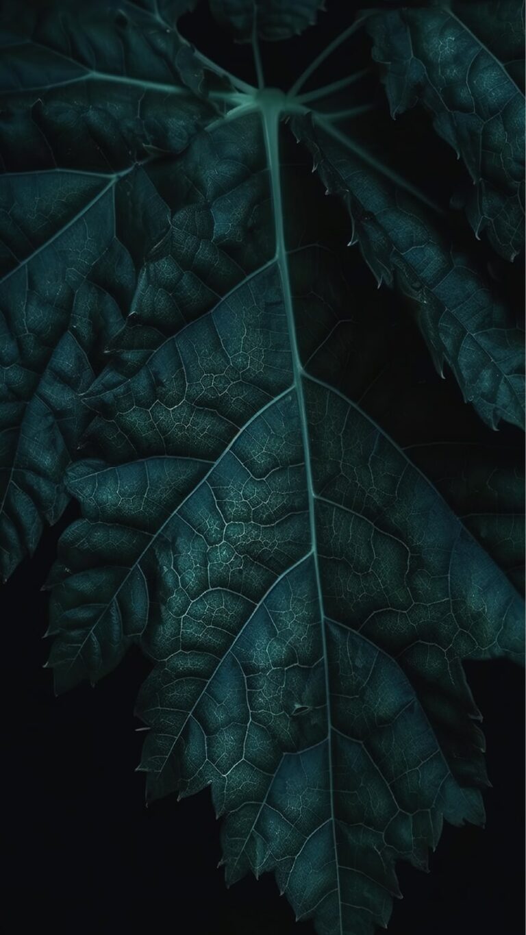 Papel de parede iPhone 6