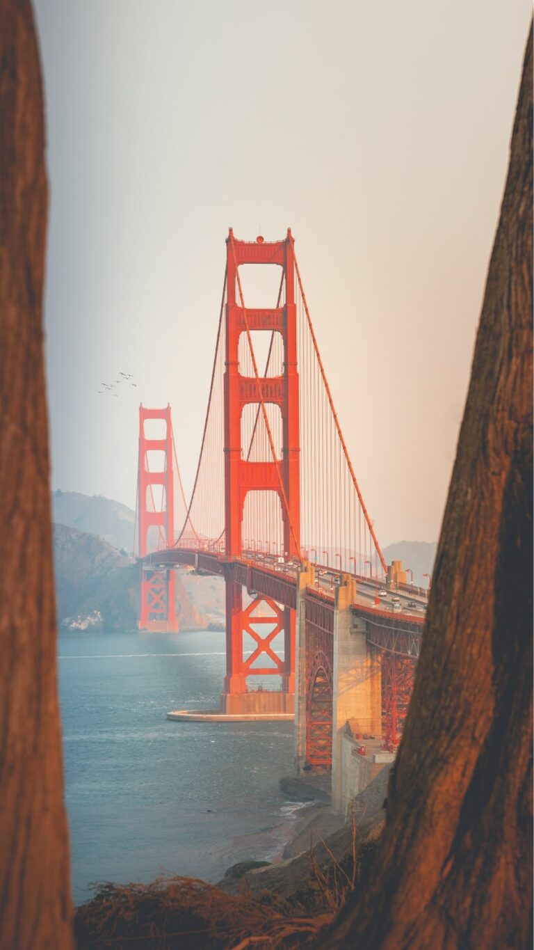 Papel de parede iPhone 8