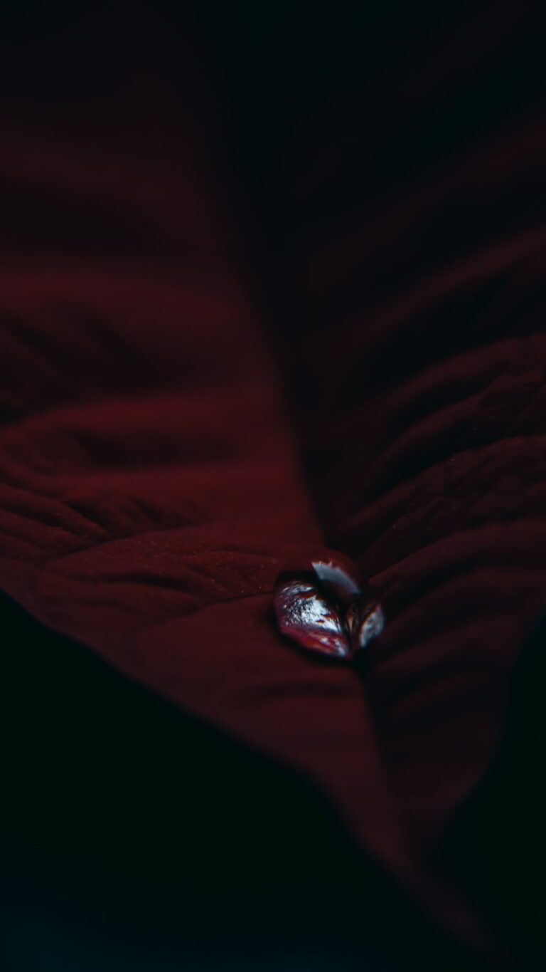 Papel de parede para iPhone XR
