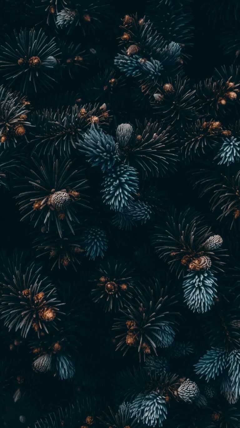 Papel de parede iPhone XS