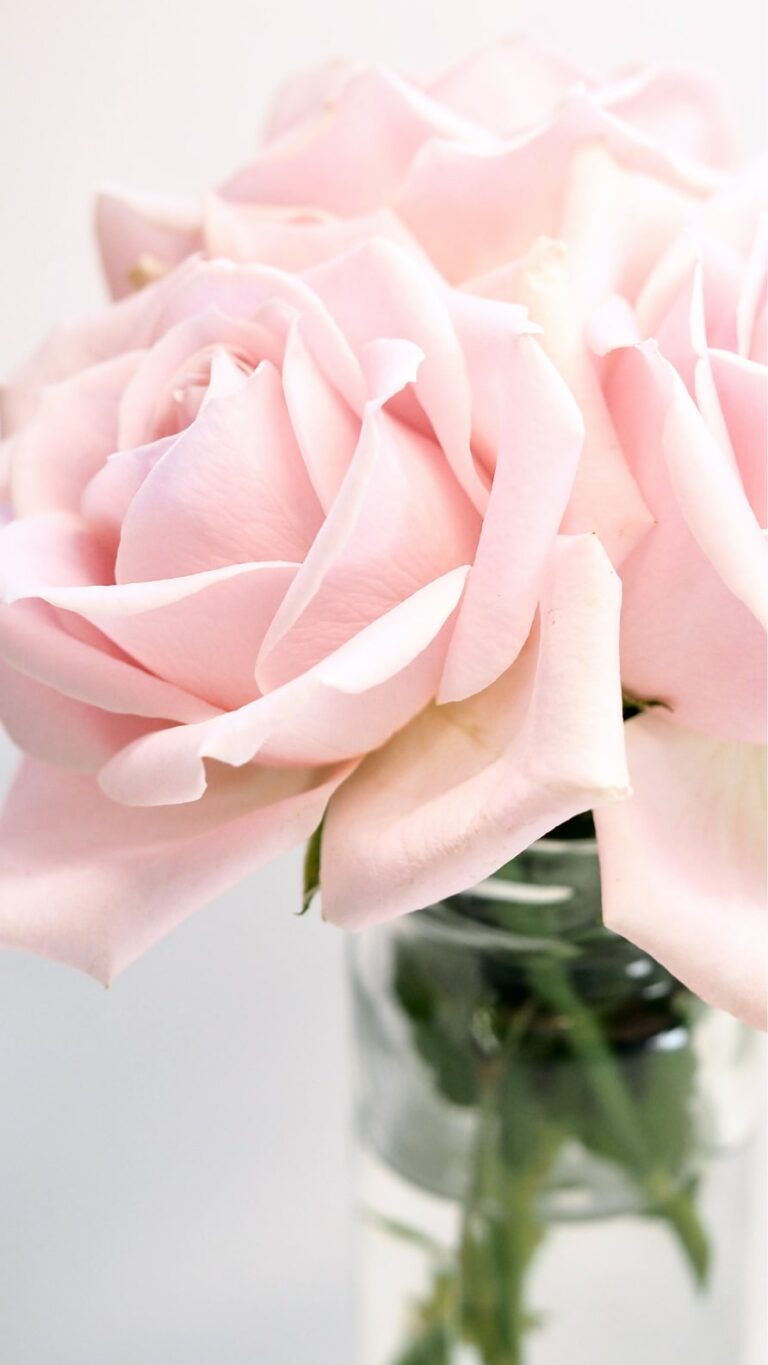 Papel de parede de flores para iPhone