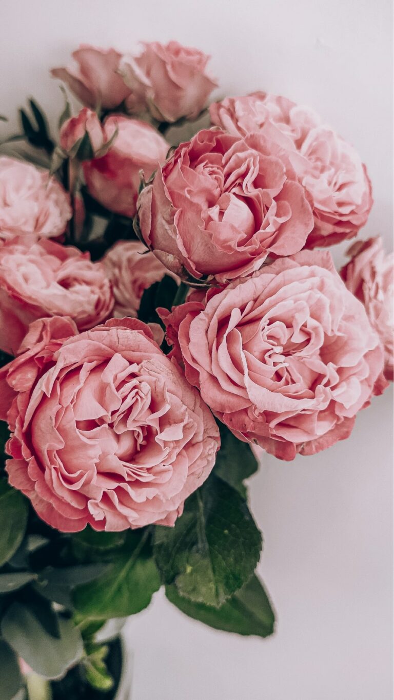 Papel de parede de flores para iPhone