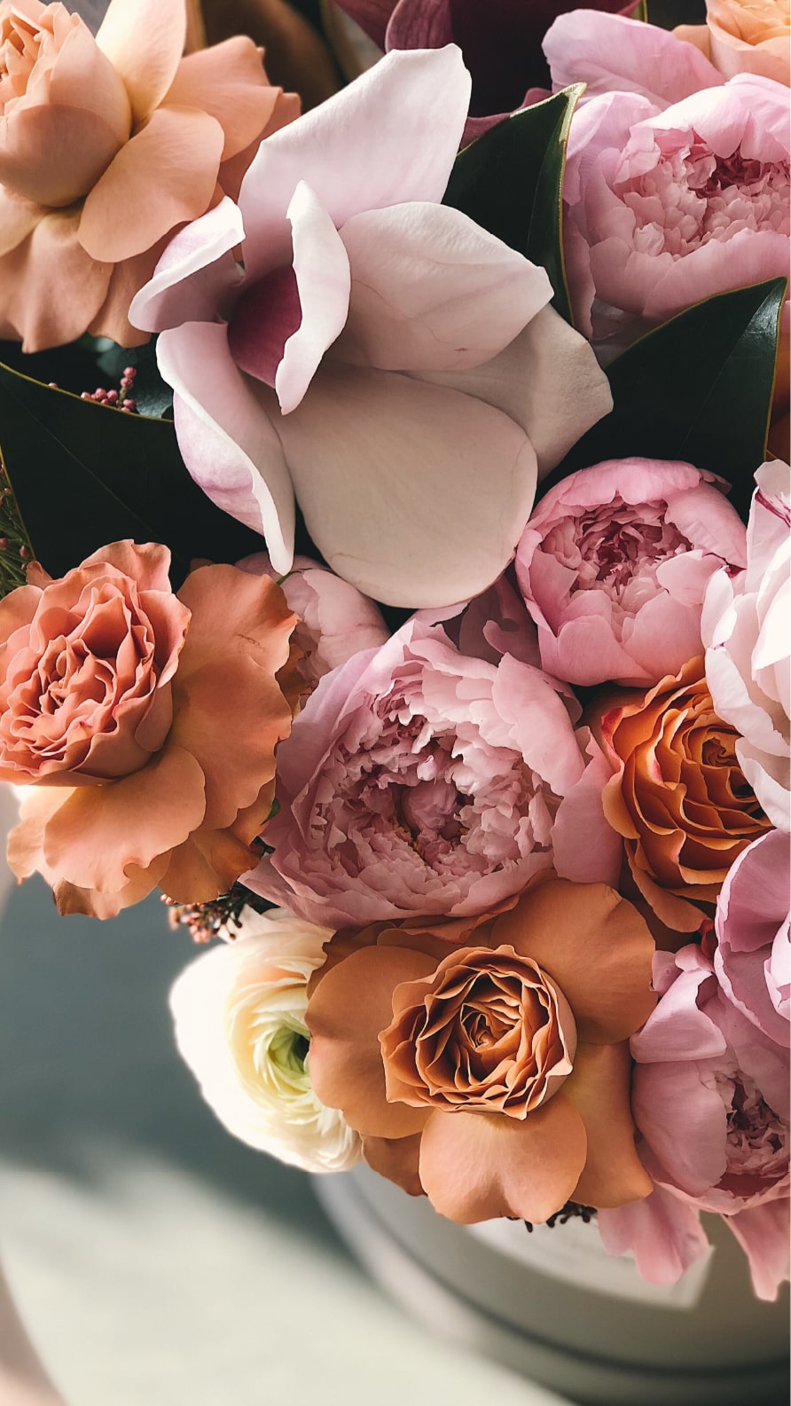 iPhone wallpapers featuring flowers