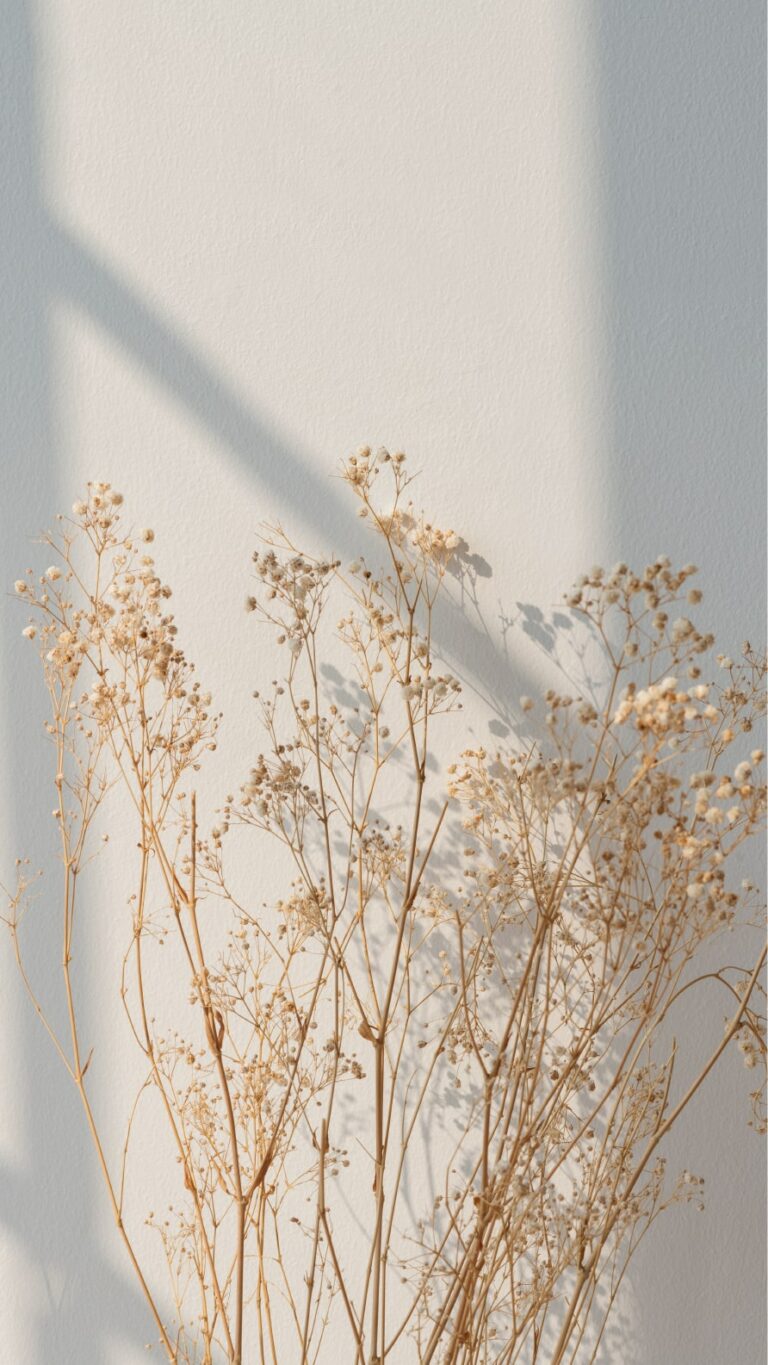 Papel de parede de flores para iPhone