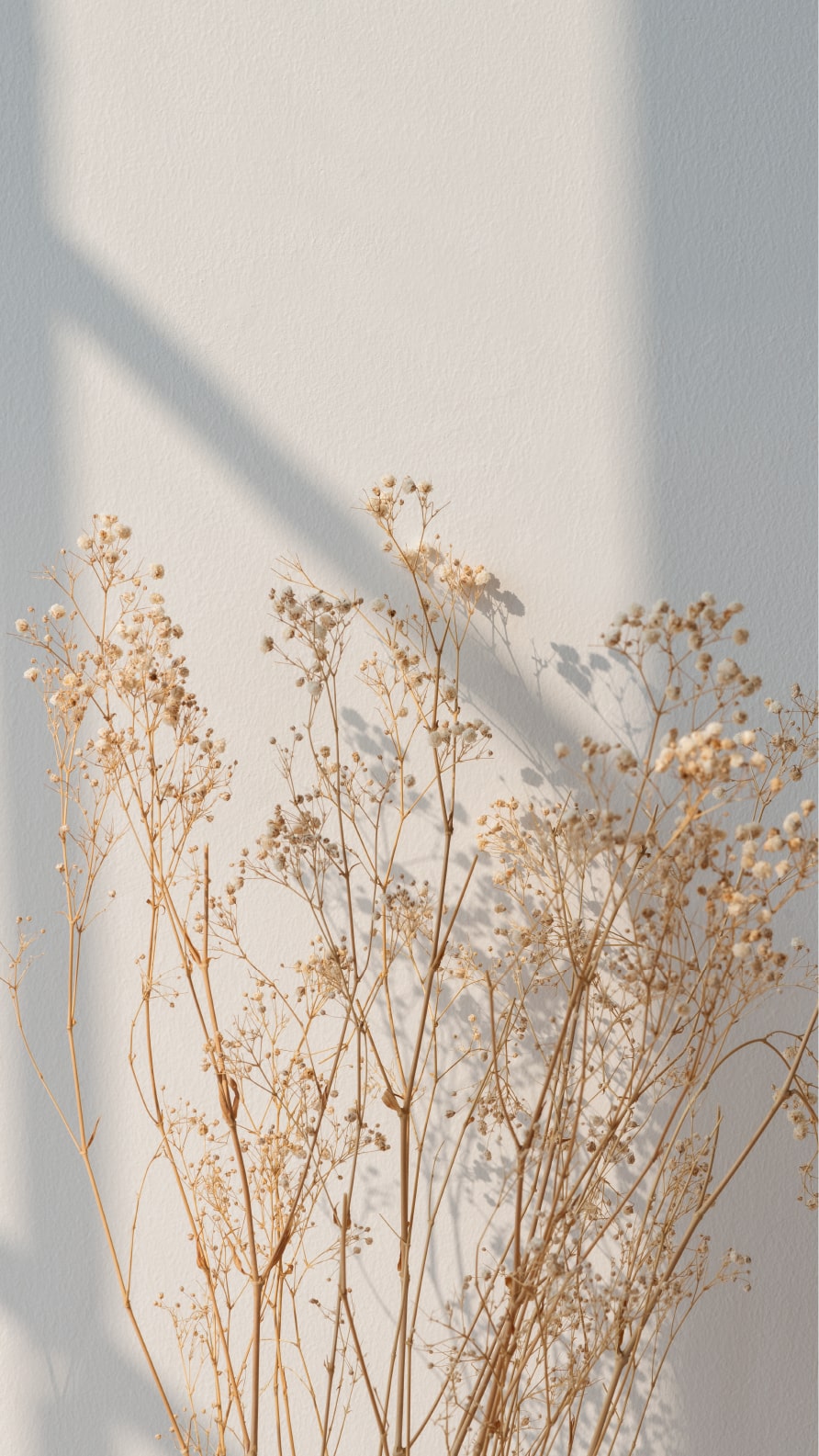Papel de parede e Wallpaper de flores para iPhone