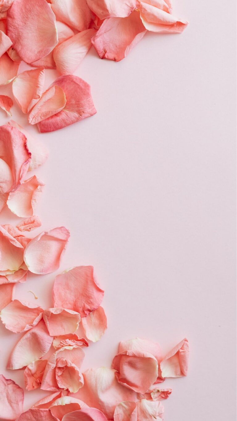 Papel de parede rosa pastel para iPhone