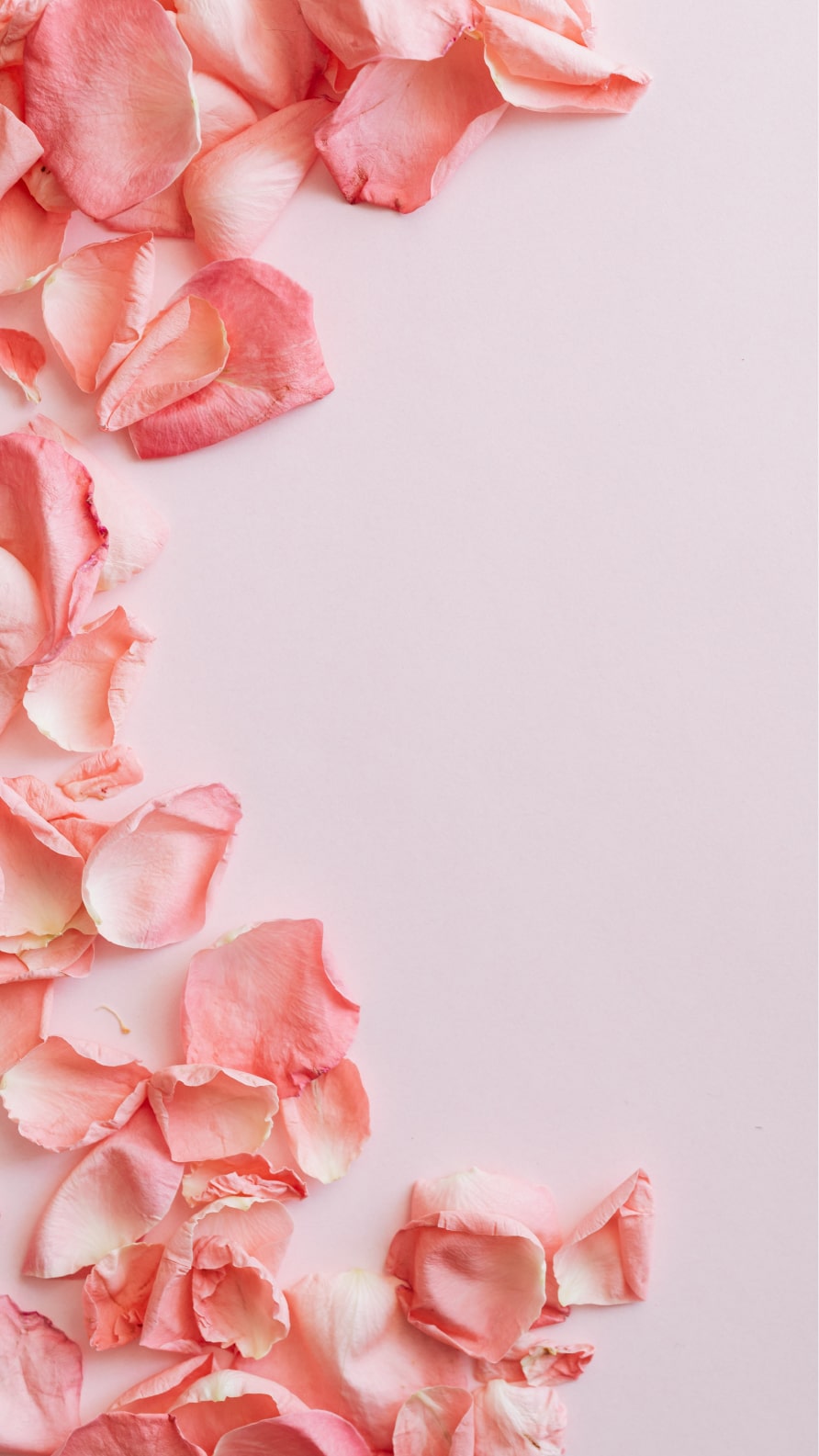 iPhone wallpapers in pastel pink