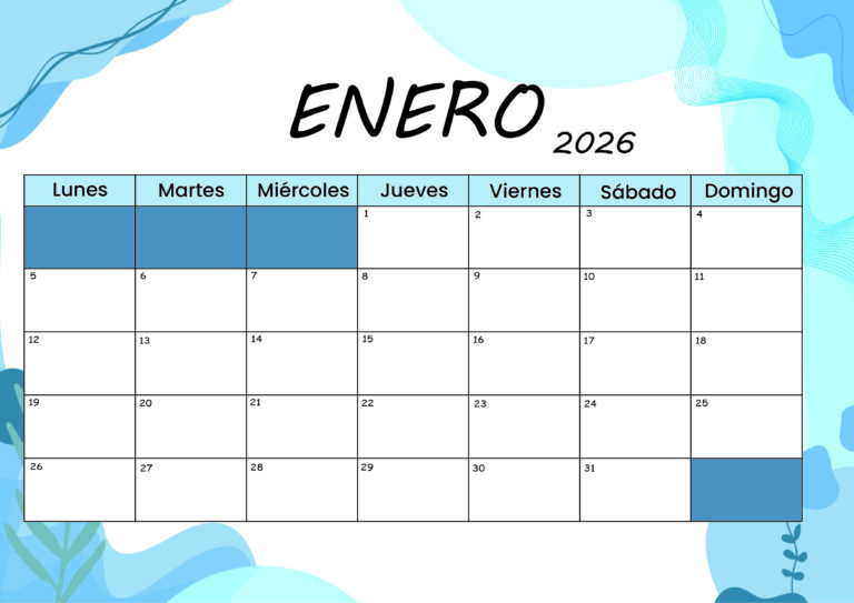Modelo 1 Enero 2026