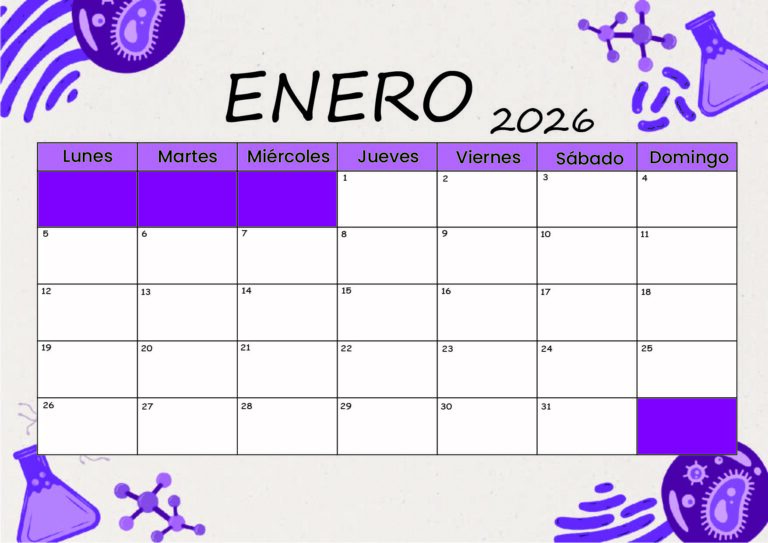 Modelo 5 Enero 2026