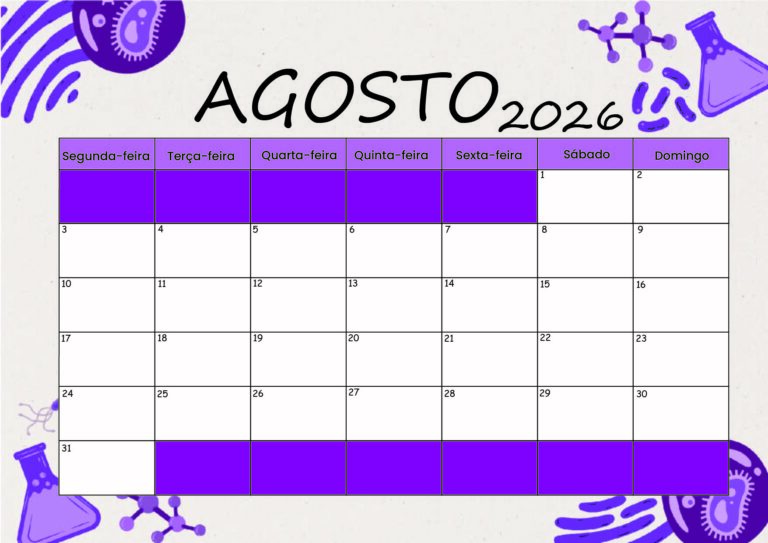 Modelo 5 Agosto 2026