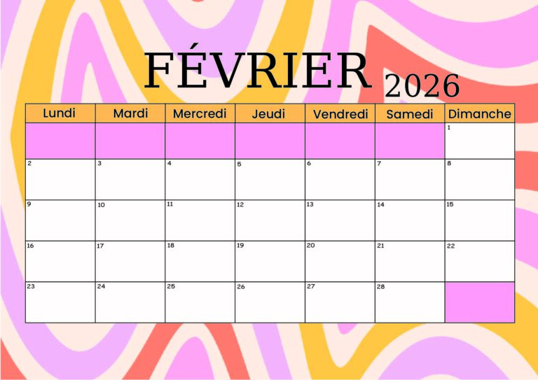 Modèle 3 Février 2026