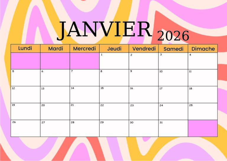 Modèle 3 Janvier 2026