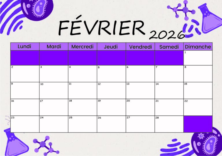 Modèle 5 Février 2026